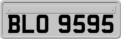 BLO9595