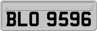 BLO9596