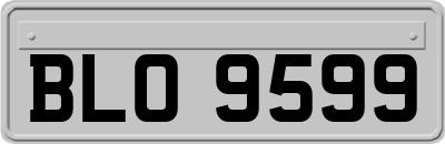BLO9599