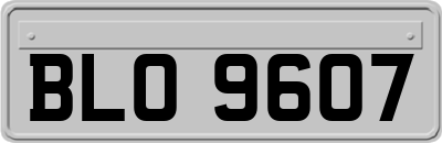 BLO9607