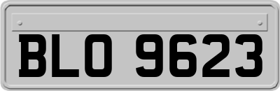 BLO9623