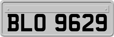 BLO9629