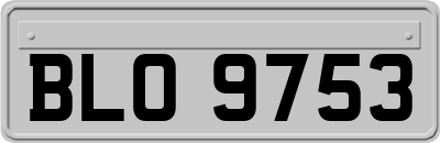 BLO9753