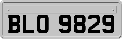 BLO9829
