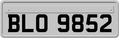 BLO9852