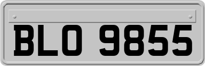 BLO9855