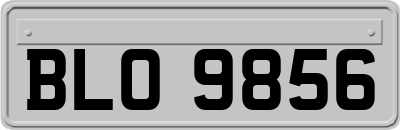 BLO9856