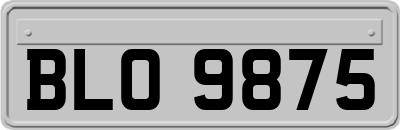 BLO9875