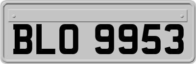 BLO9953