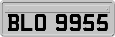 BLO9955