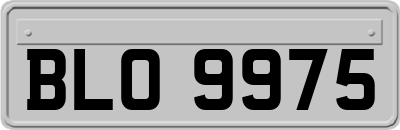 BLO9975