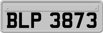 BLP3873