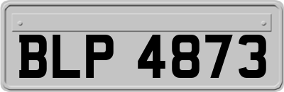 BLP4873