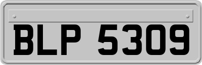 BLP5309
