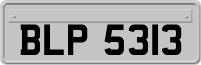 BLP5313