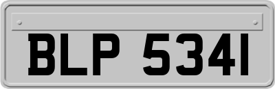 BLP5341
