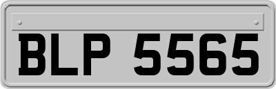BLP5565