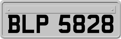 BLP5828