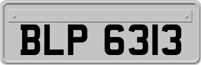 BLP6313