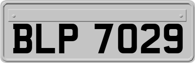 BLP7029