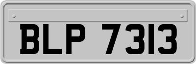 BLP7313