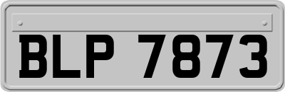 BLP7873