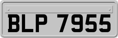 BLP7955
