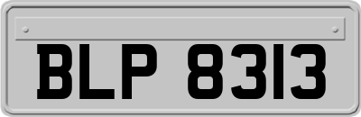 BLP8313