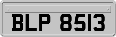 BLP8513