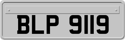BLP9119