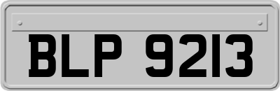 BLP9213