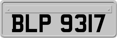 BLP9317