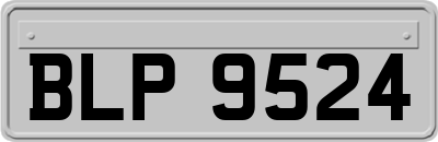 BLP9524