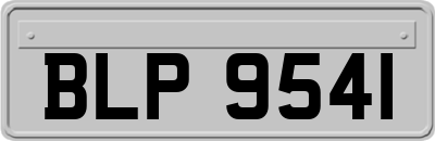 BLP9541