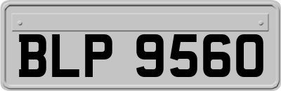 BLP9560