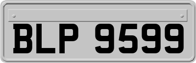 BLP9599