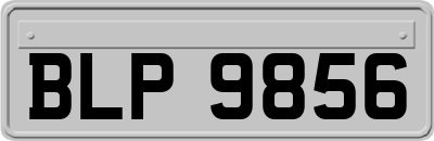 BLP9856