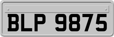 BLP9875