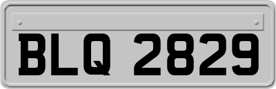 BLQ2829