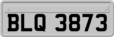 BLQ3873