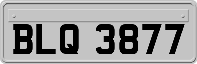 BLQ3877