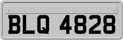 BLQ4828