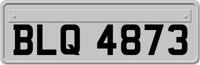 BLQ4873