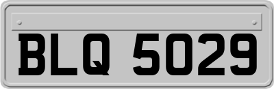 BLQ5029