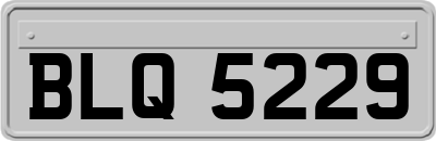 BLQ5229