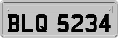 BLQ5234