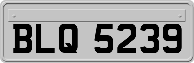 BLQ5239