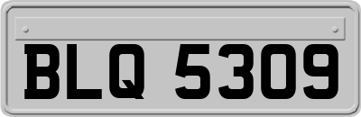 BLQ5309