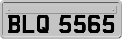 BLQ5565
