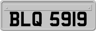BLQ5919